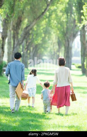 Rückansicht einer Familie, die auf Pappelbäumen spaziert Stockfoto