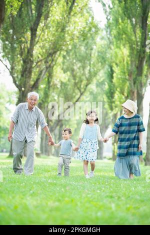 Großeltern und Enkelkinder, die an einer Reihe von Pappelbäumen entlang spazieren Stockfoto