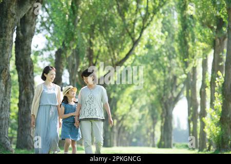 Eine Familie von drei Generationen, die sich an einer Reihe von Pappelbäumen unterhält Stockfoto