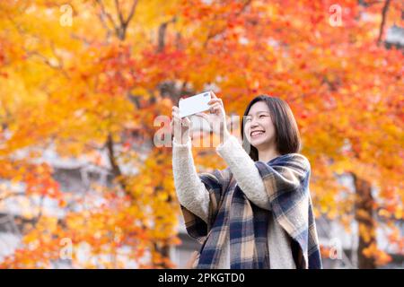 Frau, die mit einem Smartphone ein Foto von Herbstblättern macht Stockfoto