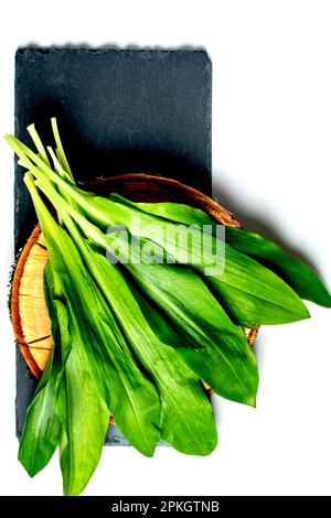 Allium ursinum, bekannt als wilder Knoblauch, Ramsons, Cowleekes, Kühe-Lauch, Cowleek, Buckrams, Breitblättriger Knoblauch, Holzknoblauch, Bärenleber, eurasische Wildtiere Stockfoto