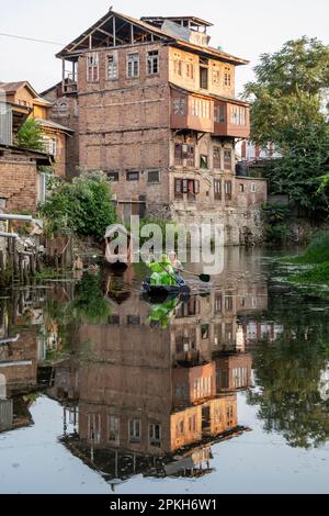 Zwei Frauen paddeln auf einer Shikara in Srinagar, Kaschmir, Indien Stockfoto