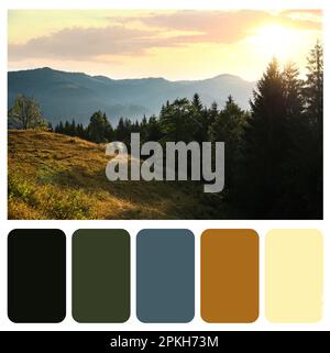 Farbpalette passend zu Foto der wunderschönen Berglandschaft am Morgen Stockfoto