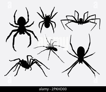 Spinneninsekten, Tiersilhouetten Stock Vektor