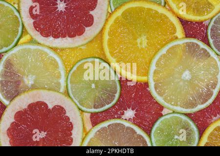 Eine flache Draufsicht mit einer Auswahl an glänzenden, frischen, saftigen Orange-, Limonen-, Grapefruit-, Und Zitronenscheiben in hellem Licht, aufgenommen in einem Studio Stockfoto