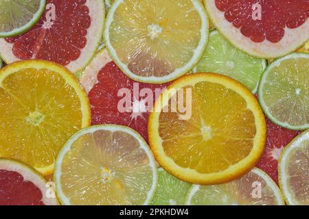 Eine flache Draufsicht mit einer Auswahl an glänzenden, frischen, saftigen Orange-, Limonen-, Grapefruit-, Und Zitronenscheiben in hellem Licht, aufgenommen in einem Studio Stockfoto