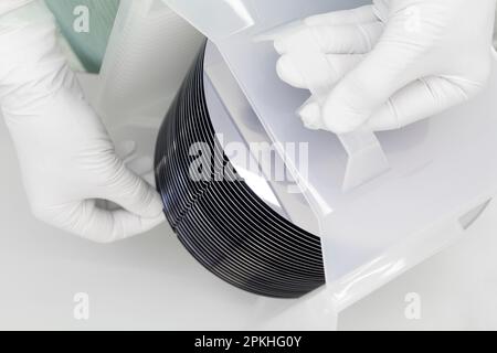 Eine Charge Silizium-Wafer, verpackt in einer Kunststoffbox im Reinraum einer Halbleitergießerei, bereit für die Mikrochip-Produktion. Stockfoto