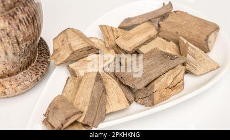 Vitex negundo/Chinesische keusche Baumayurvedische Pflanzenrinde Stockfoto