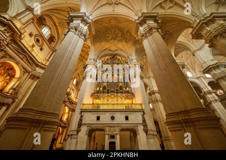 Innere der Kathedrale von Granada, Andalusien, Spanien. Hochwertiges Foto Stockfoto