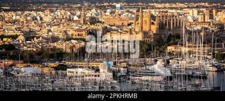 Blick über Palma de Mallorca im Abendlicht, mit Hafen mit Segelbooten, Kathedrale und königlichem Palast La Almudaina, Palma de Mallorca, Mallorca Stockfoto