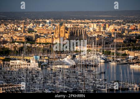 Blick über Palma de Mallorca im Abendlicht, mit Hafen mit Segelbooten, Kathedrale und königlichem Palast La Almudaina, Palma de Mallorca, Mallorca Stockfoto