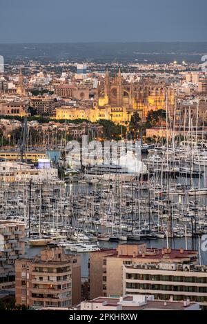 Blick über Palma de Mallorca, Hafen mit Segelbooten, beleuchtete Kathedrale und königlicher Palast La Almudaina, Blue Hour, Palma de Mallorca, Mallorca Stockfoto