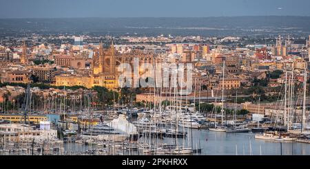 Blick über Palma de Mallorca mit Hafen mit Segelbooten, beleuchteter Kathedrale und königlichem Palast La Almudaina, Blue Hour, Palma de Mallorca Stockfoto