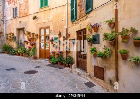 Häuser mit Blumentöpfen, Valldemossa, Serra de Tramuntana, Mallorca, Balearen, Spanien Stockfoto