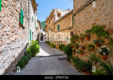 Häuser mit Blumentöpfen dekoriert, Gasse mit typischen Steinhäusern, Valldemossa, Serra de Tramuntana, Mallorca, Balearen, Spanien Stockfoto