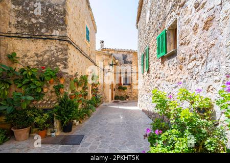 Häuser mit Blumentöpfen dekoriert, Gasse mit typischen Steinhäusern, Valldemossa, Serra de Tramuntana, Mallorca, Balearen, Spanien Stockfoto