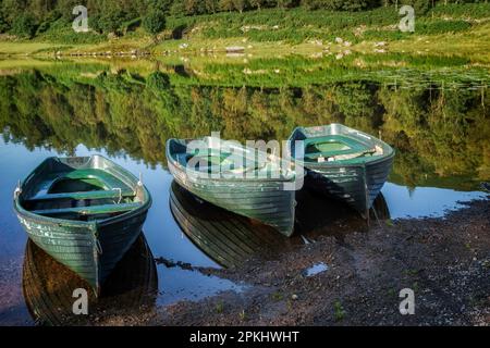 Ruderboote am Watendlath Tarn in der Seenplatte Cumbria Stockfoto