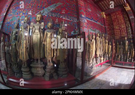 Eine Gruppe antiker Buddha-Bilder verschiedener Größen in der Chariot Hall in Wat Xieng Thong ist eines der schönsten und reichsten Laos. Stockfoto