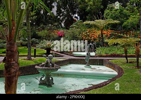 Wasserlauf im Garten von Quinta Vigia, Funchal, Madeira, Portugal Stockfoto