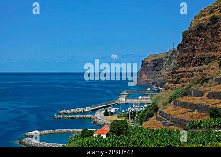 Bananenplantagen, Fischereihafen und Yachthafen von Calheta, Madeira, Portugal Stockfoto