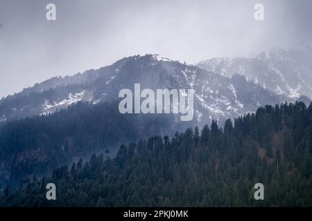Nebel rollt über baumbedeckte Berge im Vordergrund und schneebedeckte Gipfel im Hintergrund in manali himachal pradesh Stockfoto