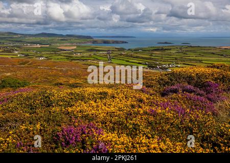 Braich-y-Pwll, Lynn Halbinsel, Wales, UK Stockfoto