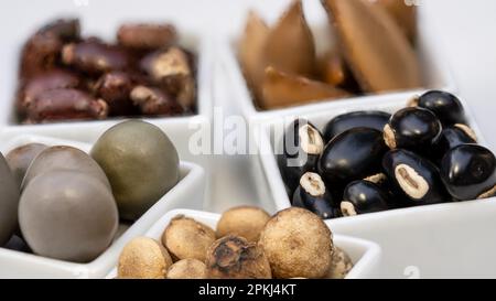 Sortiment an Samen der ayurvedischen Medizin: Gray Nicker, Strychnos Potatorum, Samtbohne, Madhuca Longifolia und Rizinusöl Stockfoto