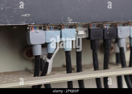 Nahaufnahme des Netzwerkkabels, das an den Router angeschlossen ist, für schnelles und zuverlässiges Internet. Konnektivität Netzwerk-Panel, Switch und Kabel im Rechenzentrum Stockfoto