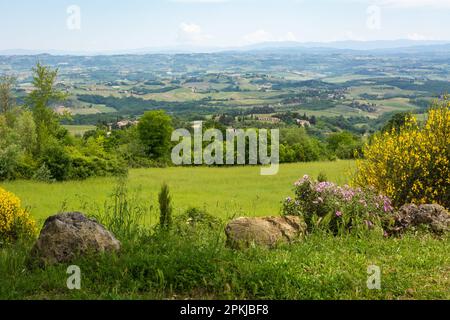 Toskanische Landschaft im Frühling entlang der Via Francigena von Gambassi Terme nach San Gimignano, Toskana, Italien, Europa Stockfoto