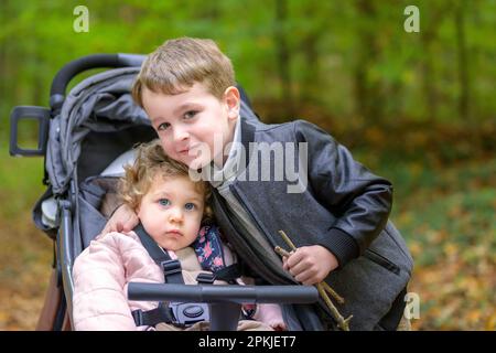 Das kleine Mädchen sitzt im Kinderwagen und ihr großer Bruder steht neben ihr und umarmt sie im Herbst Stockfoto