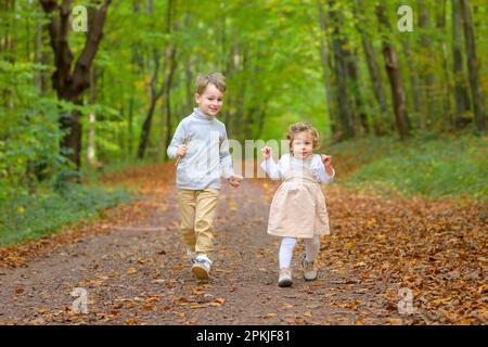 Der Bruder läuft im Herbst mit seiner kleinen Schwester glücklich durch den Wald Stockfoto