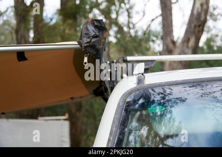 Nahaufnahmen einer verlängerten seitlichen Markise, die an einem Dachgepäckträger befestigt ist, mit Schnellverschlüssen, die ein einfaches Entfernen ermöglichen, wenn sie nicht verwendet wird. Stockfoto