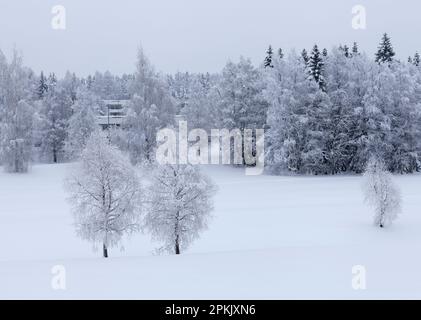 Bewölkter Tag mit neu gefallenem Schnee kurz nach der Wintersonnenwende, im Winter. Einige Gebäude im Hintergrund. Stockfoto