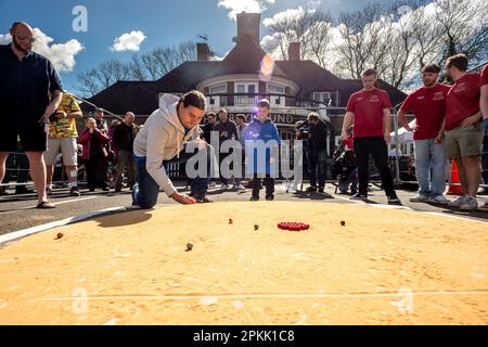 Tinsley Green, April 7. 2023: Die alljährliche Marbles World Championship findet im Greyhound Pub in Tinsley Green in der Nähe des Flughafens Gatwick statt. Der Trad Stockfoto