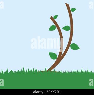 Ein kleiner Baum mit kleinen Blättern, Baum im Frühling, blauer Himmel, kurzer Baum, grün und blau und braun, Baumillustrierung, Stamm und Blätter Stockfoto