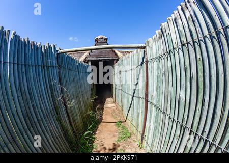 Wildtiere Busch schmaler Wanderweg mit hohen Holzstangenzäunen für Löwenraubtiere öffentlicher Schutz für Waterhole Animal ViewPoint. Stockfoto