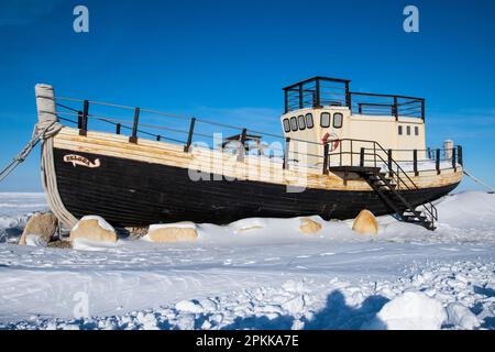 Das Beluga-Boot an einem Strand in der Hudson Bay in Churchill, Manitoba, Kanada Stockfoto