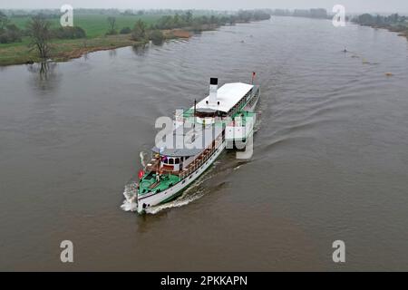 Magdeburg, Deutschland. 08. April 2023. Der Paddeldampfer „Dresden“ führt auf seiner 500 km langen Fahrt von Dresden nach Hamburg an Westerhüsen bei Magdeburg vorbei. Es war 1989, als der Paddeldampfer Dresden zum ersten Mal in die Hansestadt Hamburg segelte - damals noch unter den besonderen Bedingungen der innerdeutschen Division. Mehr als 30 Jahre später organisierte die Weiße Flotte Dresden diesen besonderen Ausflug auf der Elbe. Kredit: Peter Gercke/dpa-Zentralbild/dpa/Alamy Live News Stockfoto