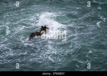 Großer dunkler Stein im Atlantischen Ozean, der von den Wellen überspült wird Stockfoto