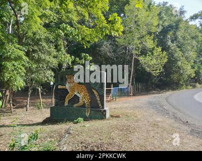 Dandeli, Karnataka, Indien 18. Mai 2019 : Ein Tiger, Panthera tigris, auf dem Schild am Karnataka Tigerreservat. Die Straße führt durch einen tiefen Wald. Stockfoto