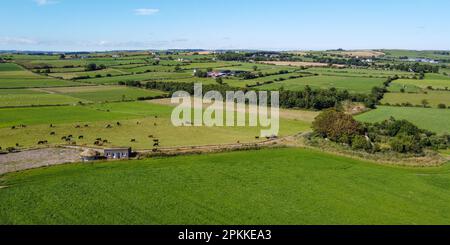 Riesige Weiden für Rinder, Irland. Malerisches Ackerland, Draufsicht. Landschaftliche Landschaft an einem sonnigen Sommertag. Die Natur. Grünes Grasfeld unter Blau Stockfoto