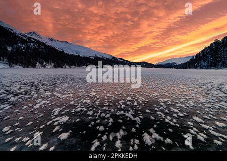 Bei Sonnenaufgang über dem gefrorenen Lake Champfer, im Winter mit Eisblumen bedeckt, Engadine, Kanton Graubunden, Schweiz, Europa Stockfoto