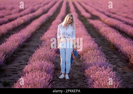 Der kleine Sohn versteckt sich hinter der Mutter. Junge Frau und Junge gehen durch die Reihen des lilavendelfarbenen Feldes und pflücken Bouquet. Spaziergänge auf dem Land. Vertrauen, Stockfoto