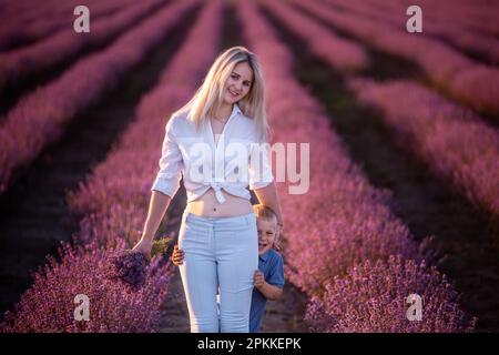 Der kleine Sohn versteckt sich hinter der Mutter. Junge Frau und Junge gehen durch die Reihen des lilavendelfarbenen Feldes und pflücken Bouquet. Spaziergänge auf dem Land. Vertrauen, Stockfoto