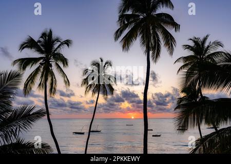 Silhouetten von Palmen mit Booten, die bei Sonnenaufgang im Meer festgemacht wurden, Jambiani, Sansibar, Tansania, Ostafrika, Afrika Stockfoto