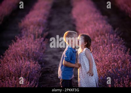 Nahaufnahme eines kleinen Jungen, der ein Mädchen auf der Wange küsst, in den Reihen des violetten Lavendelfeldes. Liebende süße Kinder haben Spaß in der Natur. Familie Stockfoto