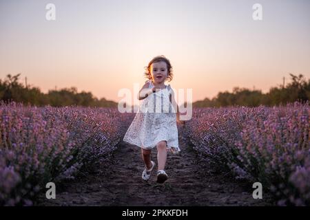 Ein kleines Mädchen im Blumenkleid läuft bei Sonnenuntergang über das violette Lavendelfeld zwischen den Reihen. Kleinkinder haben Spaß auf einem Spaziergang auf dem Land. Allergie Stockfoto