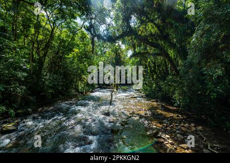 Batari River, Atlantic Forest South-East Reservate, UNESCO-Weltkulturerbe, Alto Ribeira Touristic State Park, Sao Paulo State, Brasilien Stockfoto