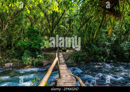 Fußgängerbrücke über den Batari River, Atlantic Forest South-East Reservate, Alto Ribeira Touristic State Park, Sao Paulo State, Brasilien Stockfoto