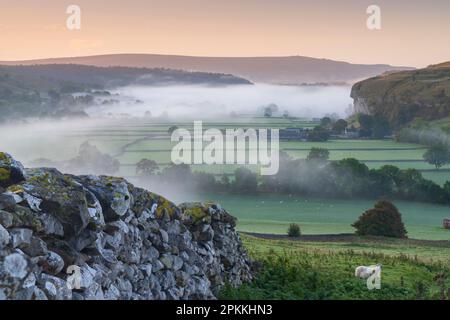 Kilnsey Crag und tief liegender Nebel bei Tagesanbruch in Wharfedale, The Yorkshire Dales, Yorkshire, England, Vereinigtes Königreich, Europa Stockfoto